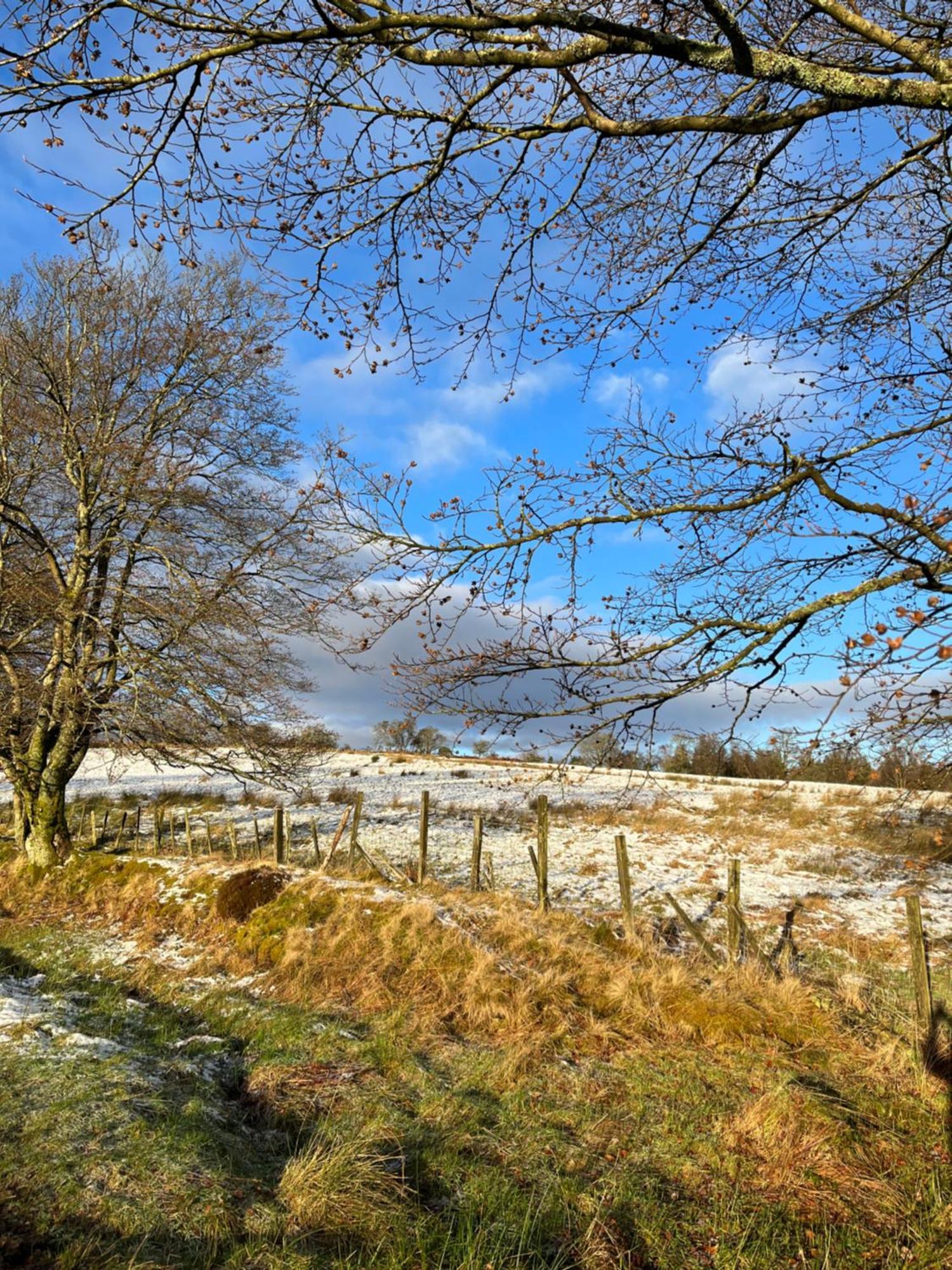 Вілла Stoneymollan Over Loch Lomond Баллох Екстер'єр фото